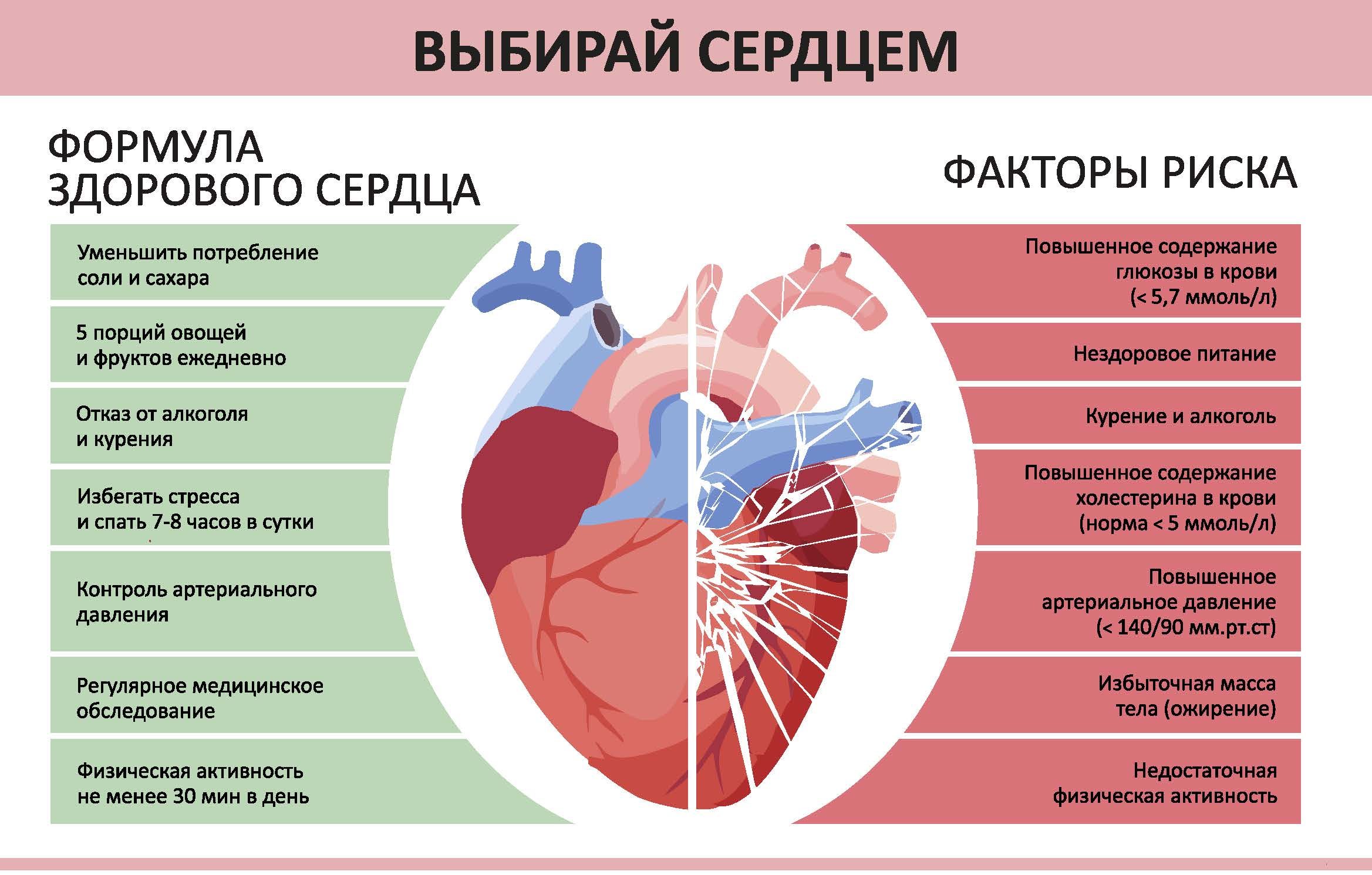 Подробнее о статье День сердца